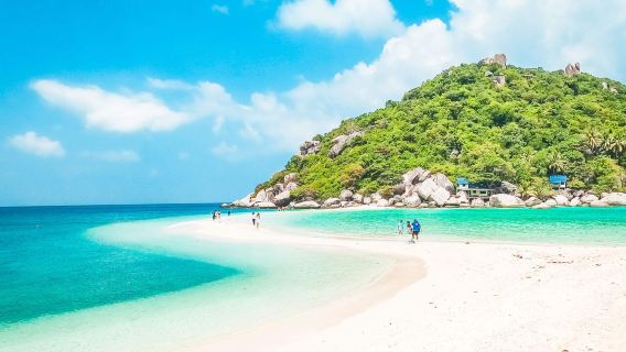 Koh Samui: tour di un giorno in motoscafo a Ko Tao e Koh Nang Yuan con snorkeling, trasferimento dall'hotel e pranzo incluso
