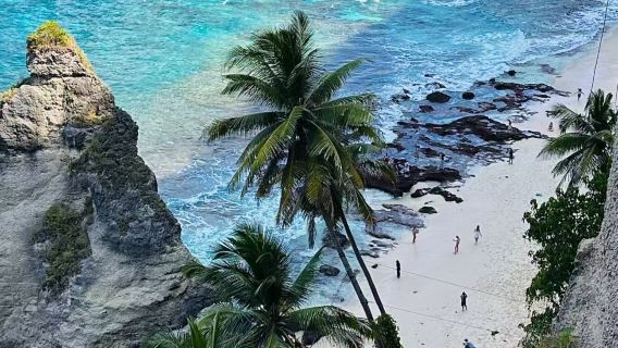 excursión de un día a la costa oeste de Bali y Nusa Penida [Salida desde Nusa Penida + Traslado privado + Almuerzo + Snorkel opcional]