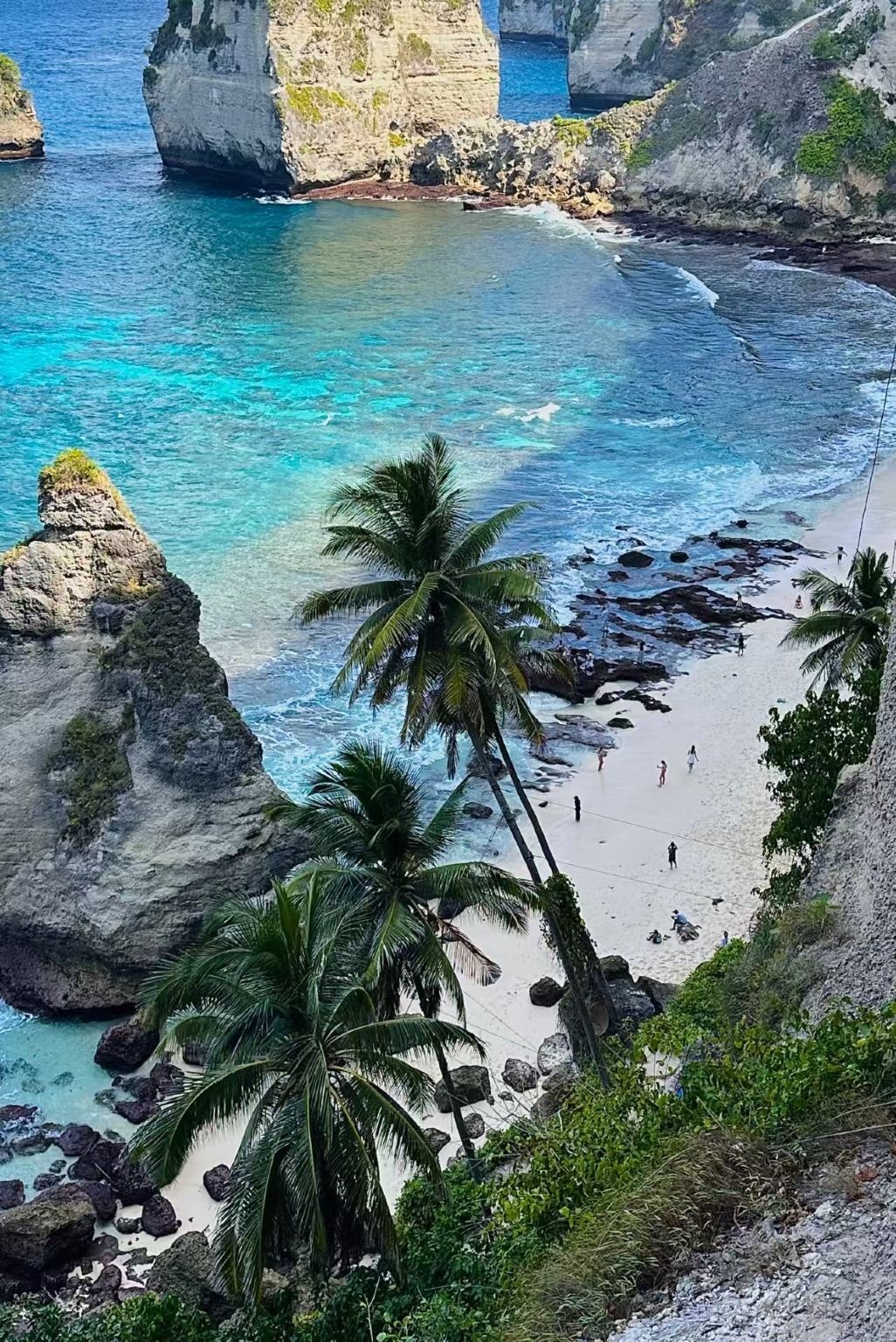 Excursión de un día por la línea oeste de la isla Nusa Penida desde Bali [Salida desde Nusa Penida + transporte privado + almuerzo + opción de snorkel]