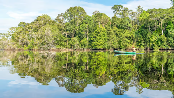 Amazon Jungle Day Tour from Manaus, Brazil (Minimum 2 people + Small group of 12 + Pink river dolphins)