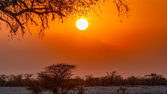 納米比亞&埃託沙國家公園【荒野包車一日遊】遊獵奇觀