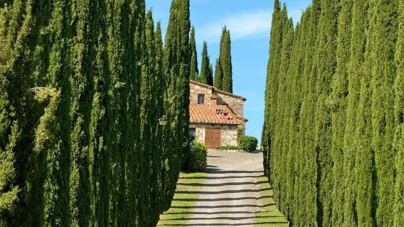 義大利羅馬-托斯卡納雙鎮觀光(皮恩扎+蒙特普爾恰諾)-精選