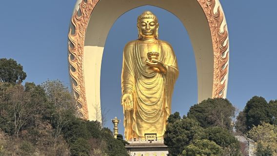 Excursion d'une journée en voiture avec chauffeur à Jiujiang, Jiangxi, comprenant la montagne Shizhong, le temple Donglin, la rivière Xunyang et le pavillon Xunyang, avec service en anglais disponible