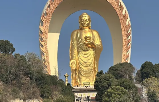 江西九江石鐘山+東林寺+潯陽江+潯陽樓包車一日遊可中英文服務