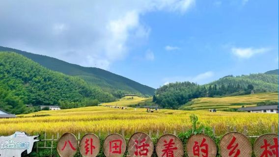 tour 1 ngày khu vực ruộng bậc thang Thượng Bảo + điểm tham quan Vạn Trường Sơn tại Cám Châu, Giang Tây có dịch vụ tiếng Anh