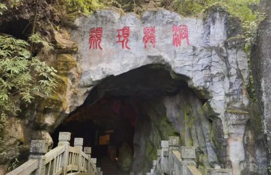 四川攀枝花顓頊龍洞+二灘國家森林公園+新山梯田一日遊英文服務