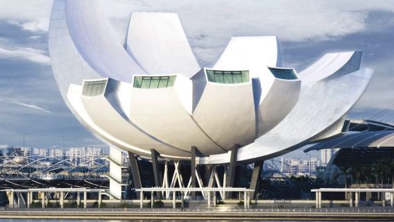 Singapore Family Private Charter | Gardens by the Bay + ArtScience Museum + Merlion