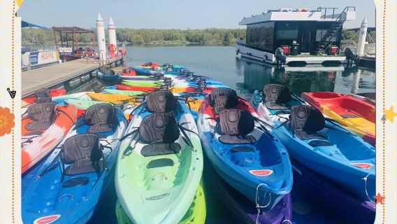 1-Day Tour in Abu Dhabi: Mangrove Kayaking + Jubail Island Park + Saadiyat Beach