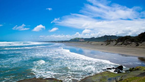 紐西蘭河源森林+小黑子沙灘+鳥島+海港大橋+天空塔|可定制※