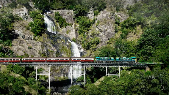 Excursion d'une journée en téléphérique et train panoramique de Kuranda en Australie [avec transfert/départs multiples]