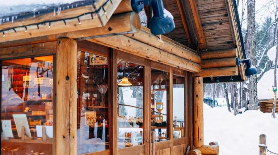 北海道人氣景點一日遊｜旭川動物園&網紅樹&白鬚瀑布&美瑛青池