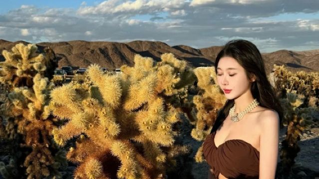 美國鳳凰城-斯科茨代爾-仙人掌公園-巨人柱國家公園-包車精選