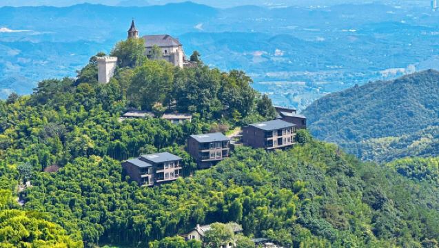 1-Day Private Charter with Hangzhou Pickup: Moganshan + Zhongnan Baicaoyuan + China Bamboo Expo Park