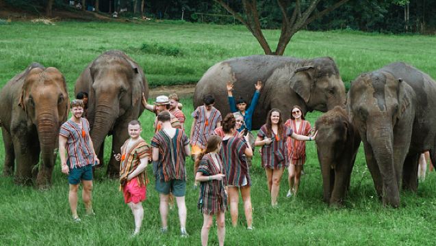 เชียงใหม่ ลานนา แคร์ ช้าง (Lanna Elephant Care)