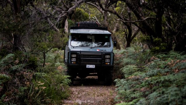 Tour all'Isola dei Pinguini di Phillip e all'Isola dei Francesi in 4x4 con trasporto andata e ritorno dal centro città e traghetto