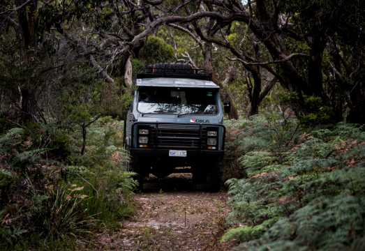 Phillip Island Penguin Parade + French Island 4WD Adventure [Round-trip from City + Ferry] AUD 265.56