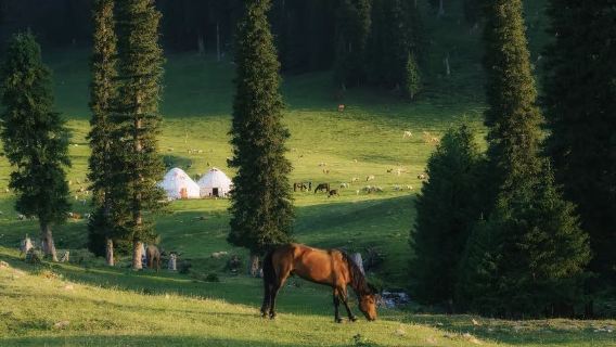 Lawatan Sehari dengan Kenderaan Kecil di Nalati / Perjalanan Bebas Tanpa Kekangan / Santai dan Tanpa Helah