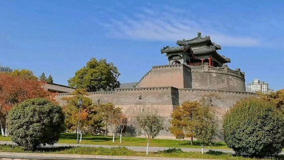 Half-day private tour to Handan road + Congtai Park + city museum