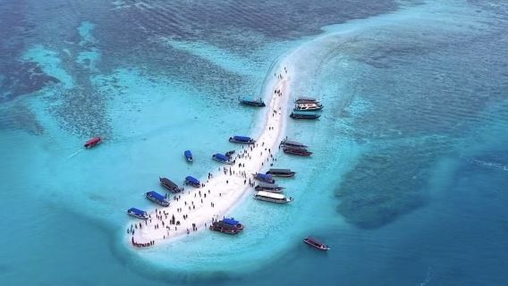 Pergi-Balik dari Jeti Pulau Redang - Lawatan Sehari Snorkeling di Pulau Redang dengan 'Summer Holiday' (Pakej Berkumpulan)