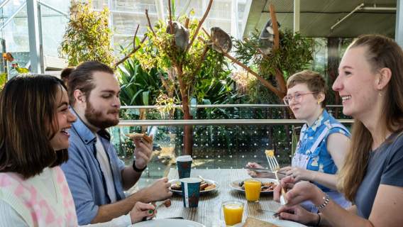 Breakfast with koalas + English-speaking guided tour of the zoo + early entry to the zoo