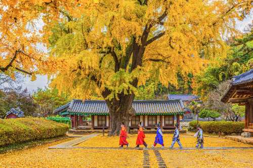 서울 출발: 전주 한옥마을 + 장태산