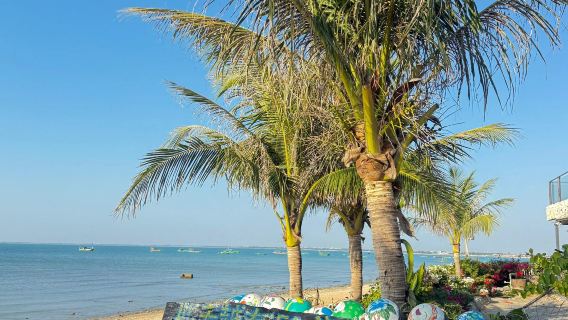 Berlepas dari Zhanjiang | Lawatan Sehari Kumpulan Kecil Kampung Hainan Nanas Kaunti Xuwen [Tempahan Bermula dari 1 Orang | Perkhidmatan Pemandu Pelancong]