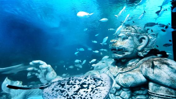 Aquaria Phuket | Book three hours in advance