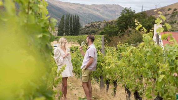 Tour de vinos y gastronomía en Queenstown: paisajes lacustres, degustación de vinos y delicioso almuerzo [Grupo en inglés]