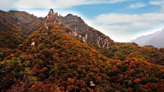 Xining + Hutan Simen Maixiu + Kuil Wangjia 1 hari (Hiburan tulen sebenar | Tiada helah)