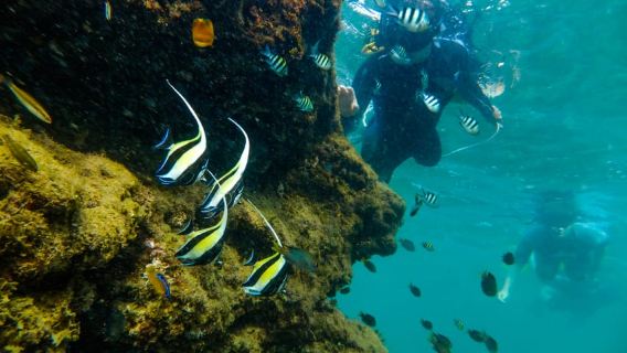 St. Lucia: Cape Vidal Snorkeling Adventure