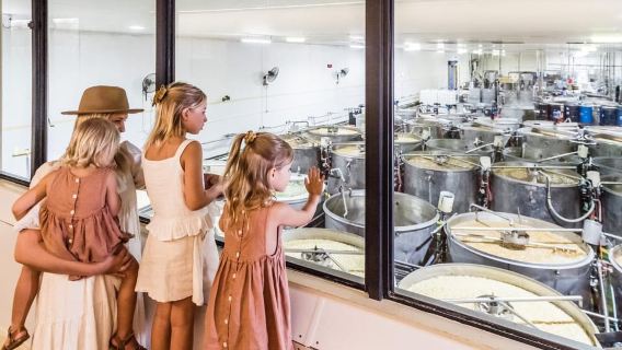 The Sunshine Coast: The Ginger Factory Tour & Tasting
