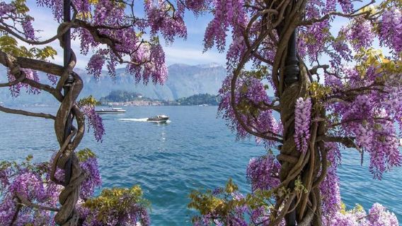 Da Milano: Escursione Esclusiva in Barca, Lago di Como, Bellagio e Lugano