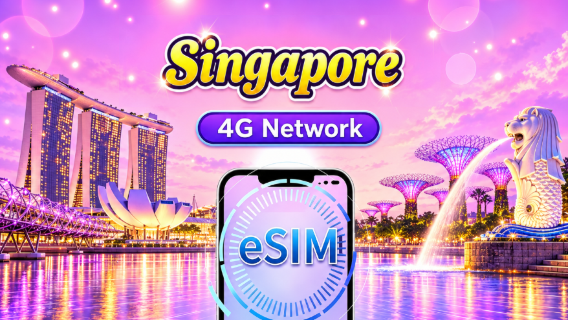 Singapore 4G eSIM | Supports Google Maps / ChatGPT | Daily/Total Data Plans | 24-Hour Billing | 1–30 Days | QR Code