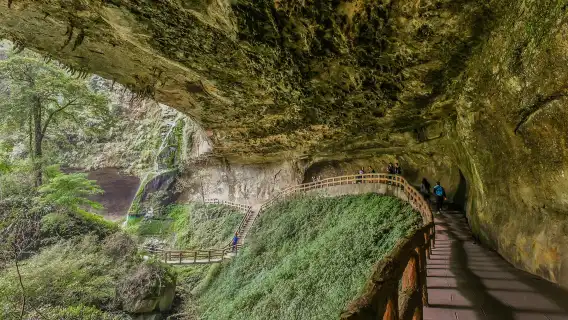 Shanlinxi Forest Recreation Area + Wangyou Forest 1-day tour | Join-in tour buy 1 get 1 free offer