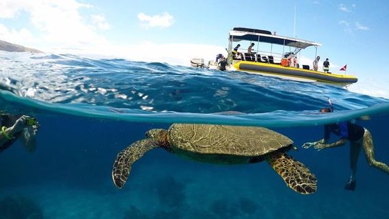 Hawaii