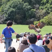 那須どうぶつ王国のレビュー 那須どうぶつ王国のチケット 那須どうぶつ王国の割引 那須どうぶつ王国の交通機関 所在地 営業時間 那須どうぶつ王国周辺の観光スポット ホテル グルメ Trip Com