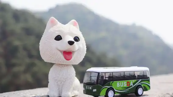 Mutianyu Great Wall Day Trip [Bus service from 7 AM to 12 PM + 5-hour sightseeing tour + no shopping]