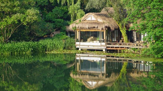 杭州西湖遊船搖櫓船私人尊享包船+私人尊享人工講解+品茶體驗