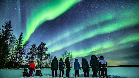 Arctic Circle 1-day tour from Rovaniemi, Finland [Aurora Borealis Hunting + Aurora Picnic]