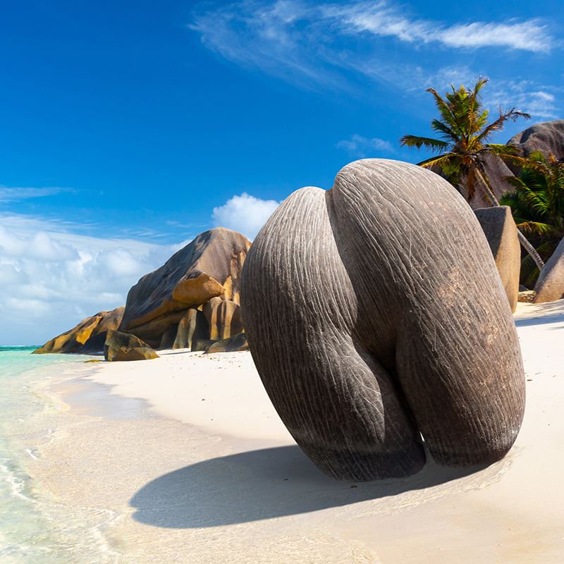 Однодневный тур на острова Праслин и Ла-Диг с трансфером с Маэ и Праслина, обед в креольском стиле