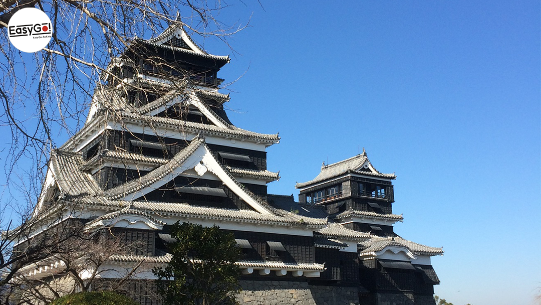 Departing from Fukuoka: Kumamoto Castle + Aso Volcano Crater Exploration + Kusasenri Horseback Riding Experience Transportation Special Line