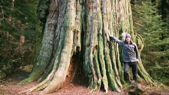 WhistlerTours
