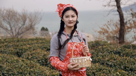 青島日遊