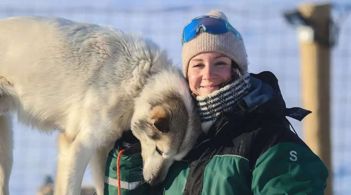 Tromso: Sami Culture Village + Reindeer Feeding + Reindeer Sledding