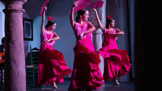 Cordoba: Flamenco Show with Welcome Drink