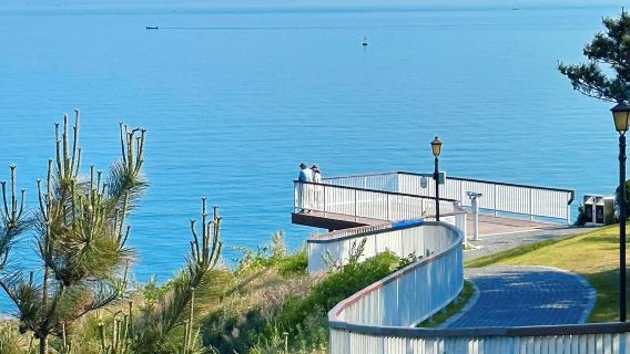 Excursión de un día desde Qingdao a Weihai: Isla Liugong + Museo de la Guerra Sino-Japonesa con servicio de coche privado con conductor - Servicio en inglés disponible