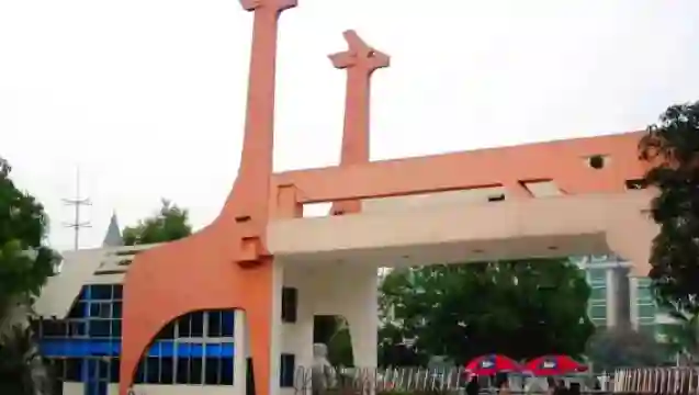 Nanning, Guangxi|Nanning Zoo + Polar Ocean World + Garden Expo Park