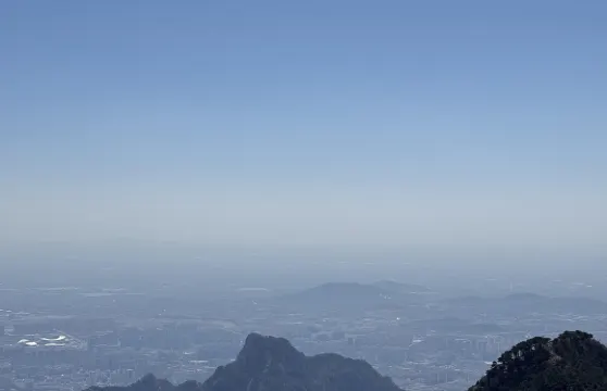 青島-泰安來回泰山風景區+玉皇頂+岱廟陪爬一日遊-可英文服務