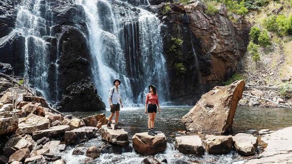MelbourneTours de un día