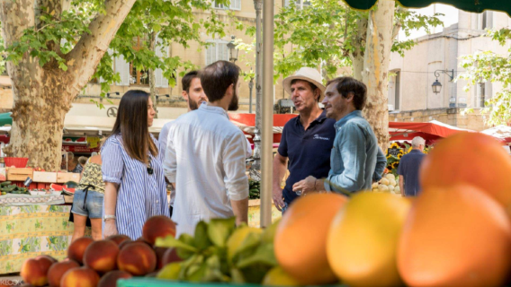 Gordes, Roussillon, and Luberon Markets and Villages one-day tour from Marseille or Aix-en-Provence